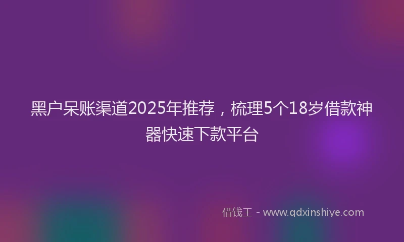 黑户呆账渠道2025年推荐，梳理5个18岁借款神器快速下款平台