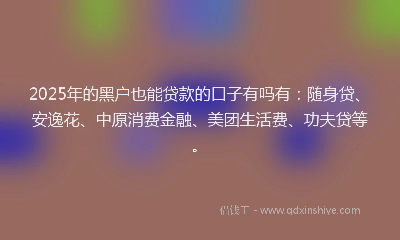 2025年的黑户也能贷款的口子有吗有：随身贷、安逸花、中原消费金融、美团生活费、功夫贷等。