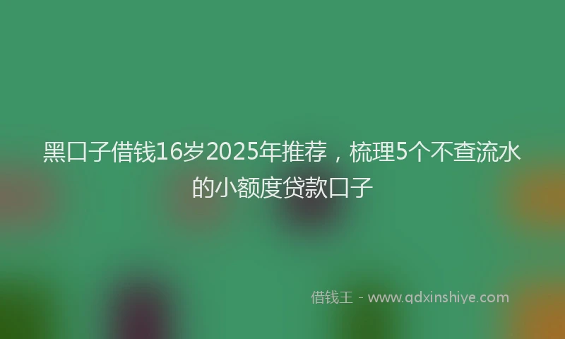 黑口子借钱16岁2025年推荐，梳理5个不查流水的小额度贷款口子