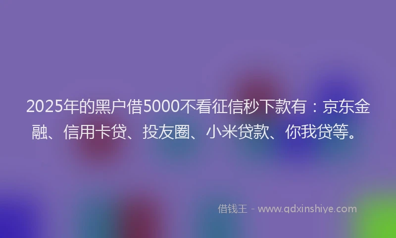 2025年的黑户借5000不看征信秒下款有：京东金融、信用卡贷、投友圈、小米贷款、你我贷等。