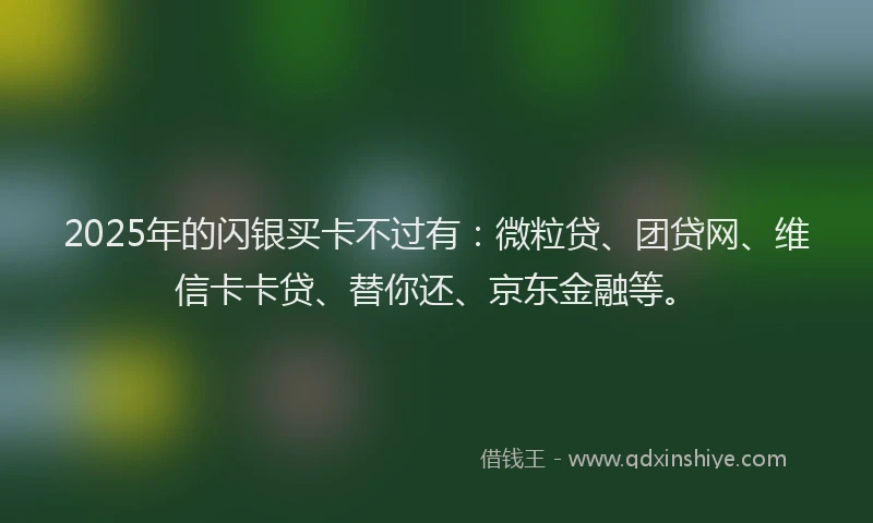 2025年的闪银买卡不过有：微粒贷、团贷网、维信卡卡贷、替你还、京东金融等。