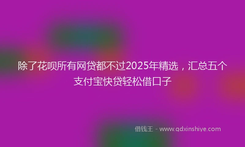 除了花呗所有网贷都不过2025年精选，汇总五个支付宝快贷轻松借口子