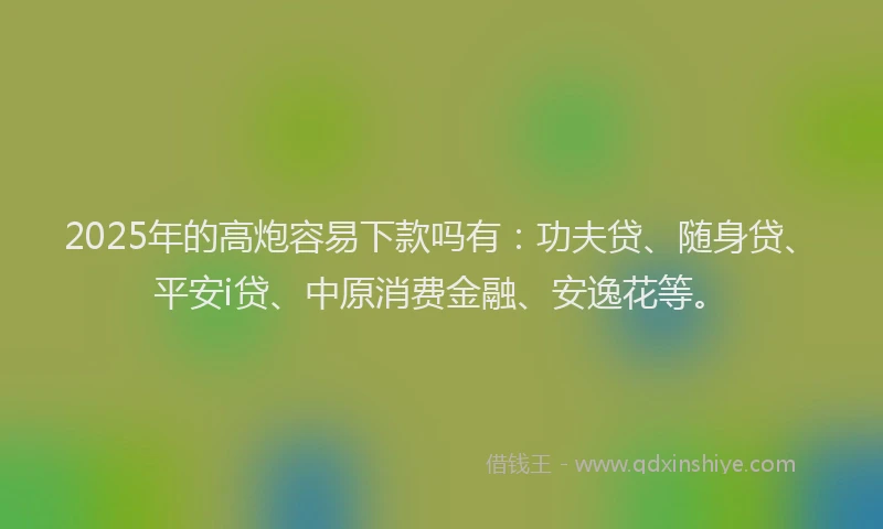 2025年的高炮容易下款吗有：功夫贷、随身贷、平安i贷、中原消费金融、安逸花等。