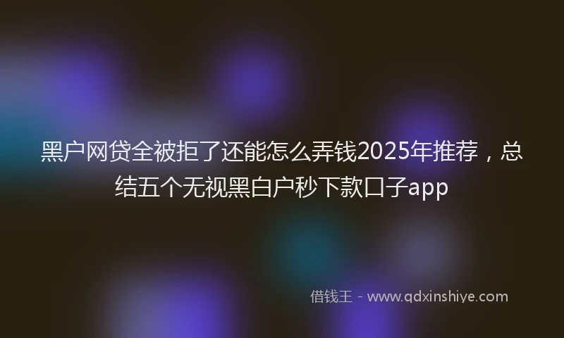 黑户网贷全被拒了还能怎么弄钱2025年推荐，总结五个无视黑白户秒下款口子app