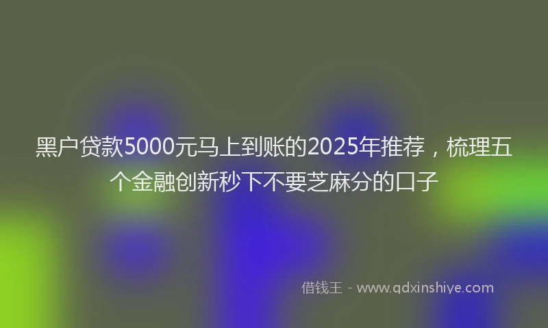 黑户贷款5000元马上到账的2025年推荐，梳理五个金融创新秒下不要芝麻分的口子