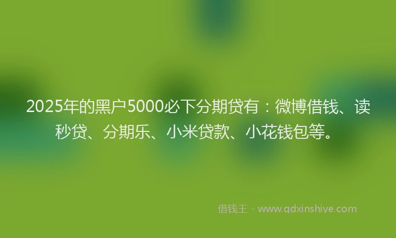 2025年的黑户5000必下分期贷有：微博借钱、读秒贷、分期乐、小米贷款、小花钱包等。