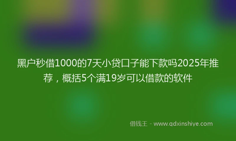 黑户秒借1000的7天小贷口子能下款吗2025年推荐，概括5个满19岁可以借款的软件