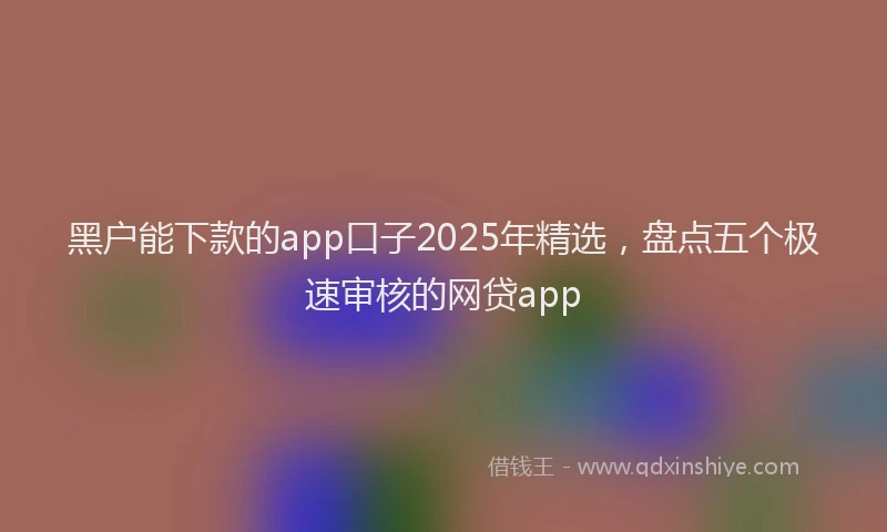 黑户能下款的app口子2025年精选，盘点五个极速审核的网贷app