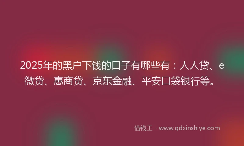 2025年的黑户下钱的口子有哪些有：人人贷、e微贷、惠商贷、京东金融、平安口袋银行等。