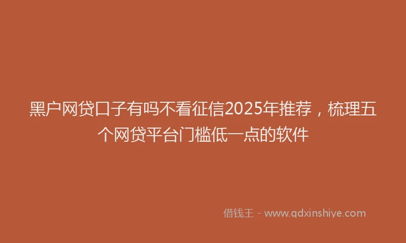 黑户网贷口子有吗不看征信2025年推荐，梳理五个网贷平台门槛低一点的软件
