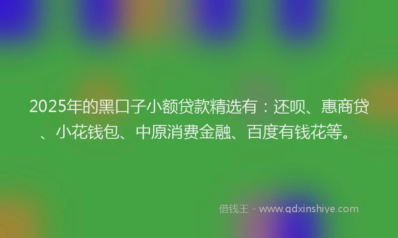 2025年的黑口子小额贷款精选有：还呗、惠商贷、小花钱包、中原消费金融、百度有钱花等。