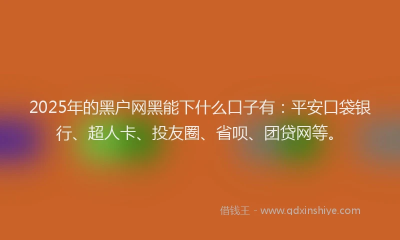 2025年的黑户网黑能下什么口子有：平安口袋银行、超人卡、投友圈、省呗、团贷网等。