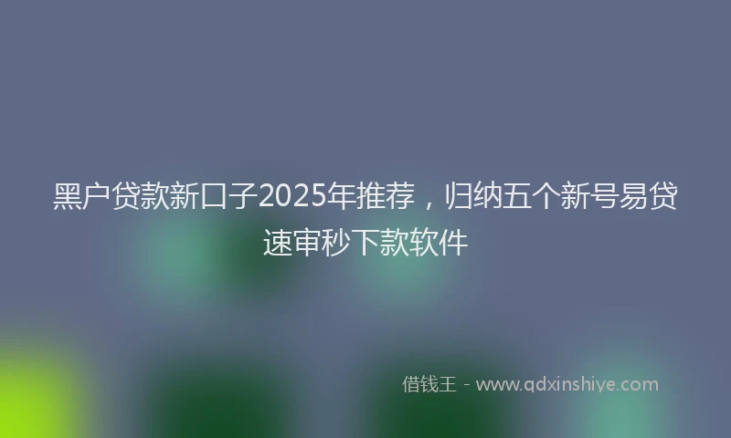 黑户贷款新口子2025年推荐，归纳五个新号易贷速审秒下款软件