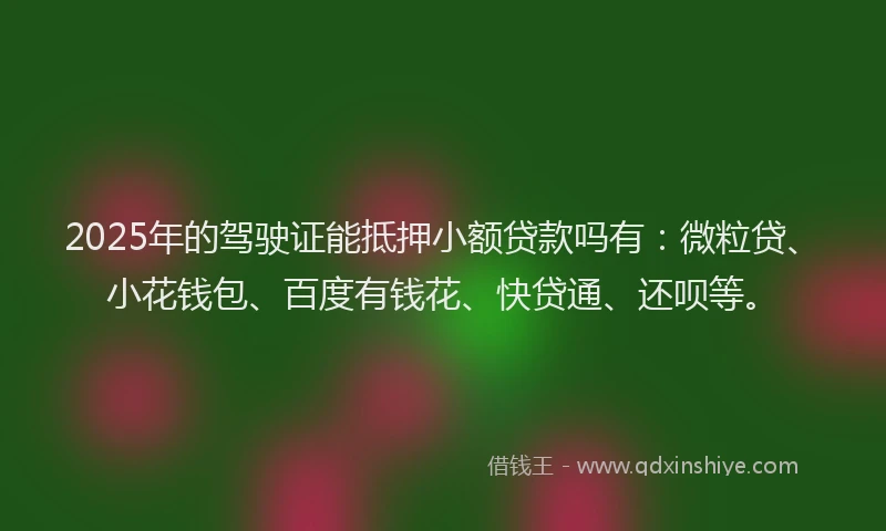 2025年的驾驶证能抵押小额贷款吗有：微粒贷、小花钱包、百度有钱花、快贷通、还呗等。