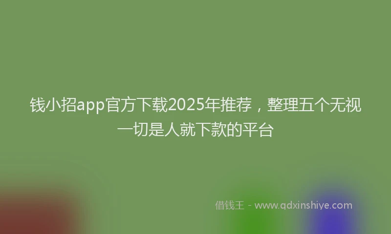 钱小招app官方下载2025年推荐，整理五个无视一切是人就下款的平台