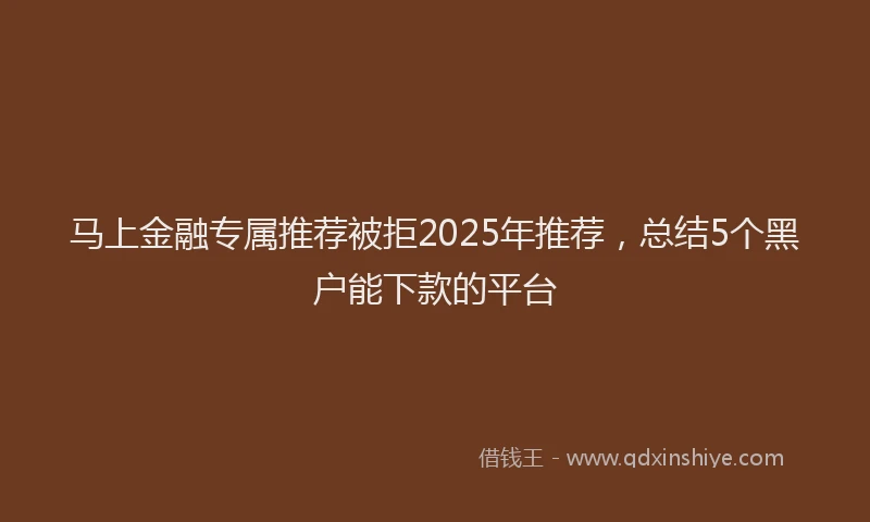 马上金融专属推荐被拒2025年推荐，总结5个黑户能下款的平台
