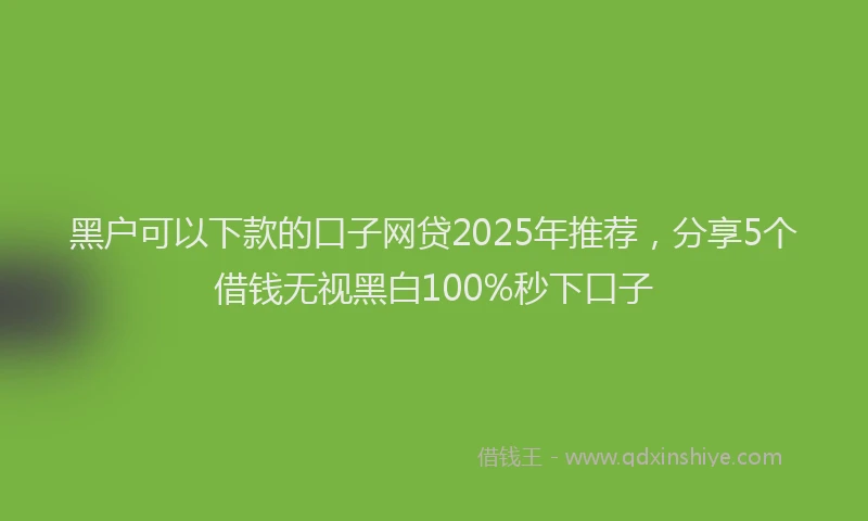 黑户可以下款的口子网贷2025年推荐，分享5个借钱无视黑白100%秒下口子