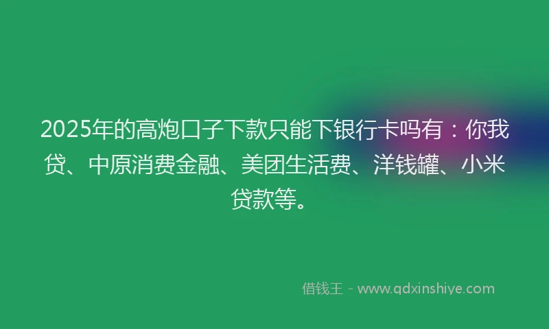 2025年的高炮口子下款只能下银行卡吗有：你我贷、中原消费金融、美团生活费、洋钱罐、小米贷款等。