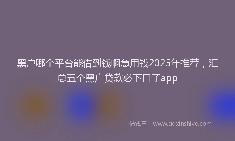 黑户哪个平台能借到钱啊急用钱2025年推荐，汇总五个黑户贷款必下口子app