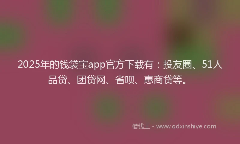 2025年的钱袋宝app官方下载有：投友圈、51人品贷、团贷网、省呗、惠商贷等。