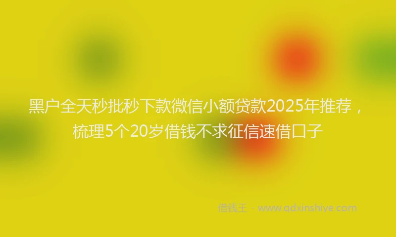 黑户全天秒批秒下款微信小额贷款2025年推荐，梳理5个20岁借钱不求征信速借口子
