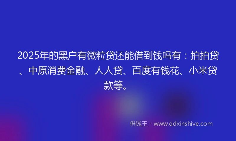2025年的黑户有微粒贷还能借到钱吗有：拍拍贷、中原消费金融、人人贷、百度有钱花、小米贷款等。