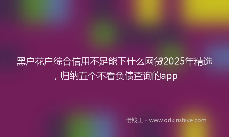 黑户花户综合信用不足能下什么网贷2025年精选，归纳五个不看负债查询的app
