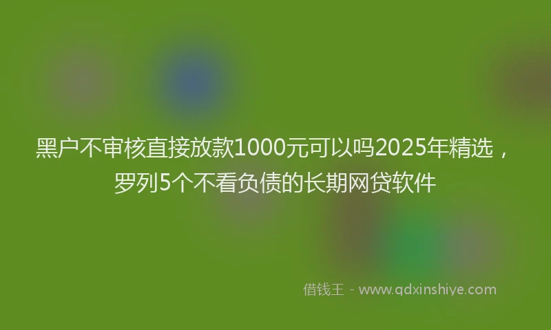 黑户不审核直接放款1000元可以吗2025年精选，罗列5个不看负债的长期网贷软件