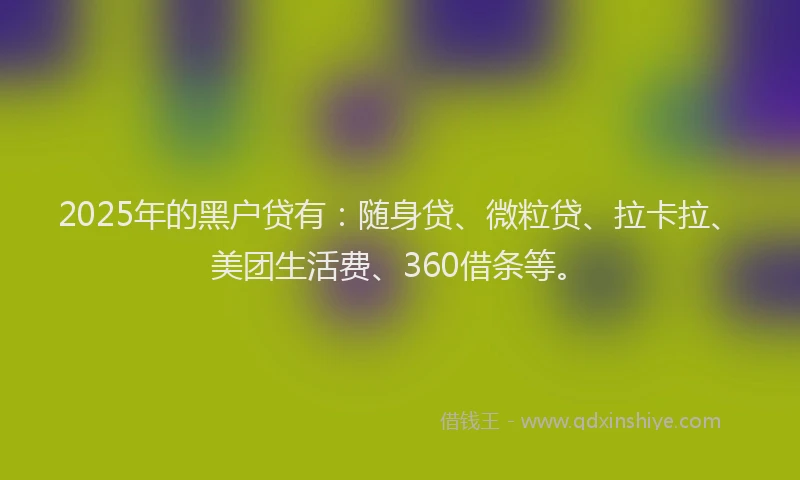 2025年的黑户贷有：随身贷、微粒贷、拉卡拉、美团生活费、360借条等。
