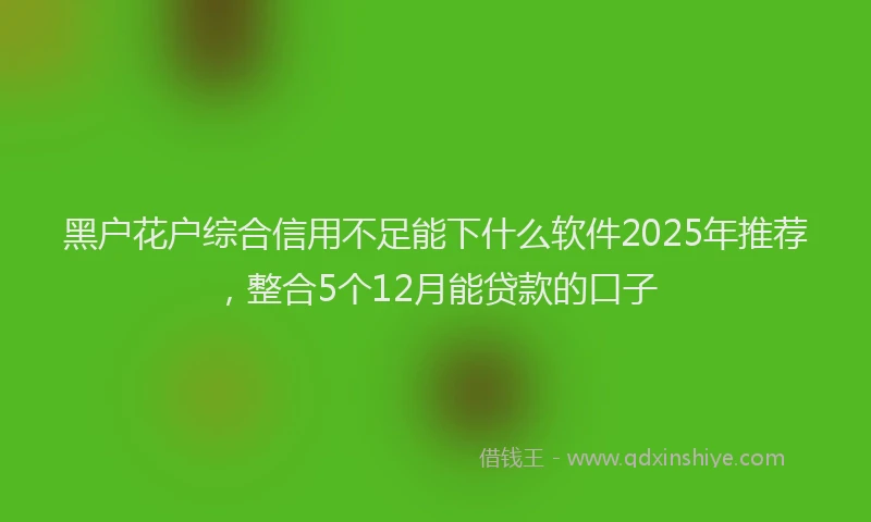 黑户花户综合信用不足能下什么软件2025年推荐，整合5个12月能贷款的口子