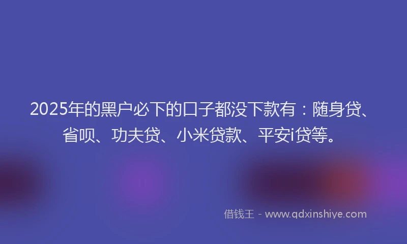 2025年的黑户必下的口子都没下款有：随身贷、省呗、功夫贷、小米贷款、平安i贷等。