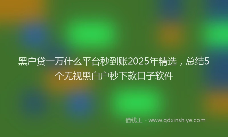 黑户贷一万什么平台秒到账2025年精选，总结5个无视黑白户秒下款口子软件