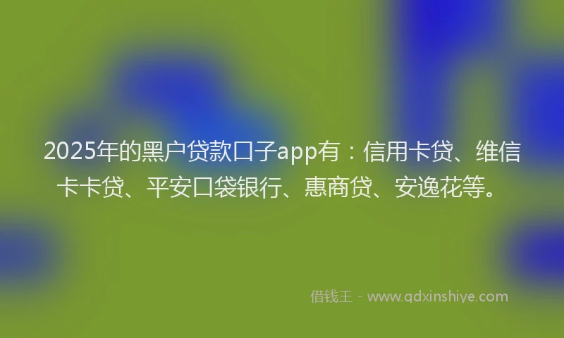 2025年的黑户贷款口子app有：信用卡贷、维信卡卡贷、平安口袋银行、惠商贷、安逸花等。