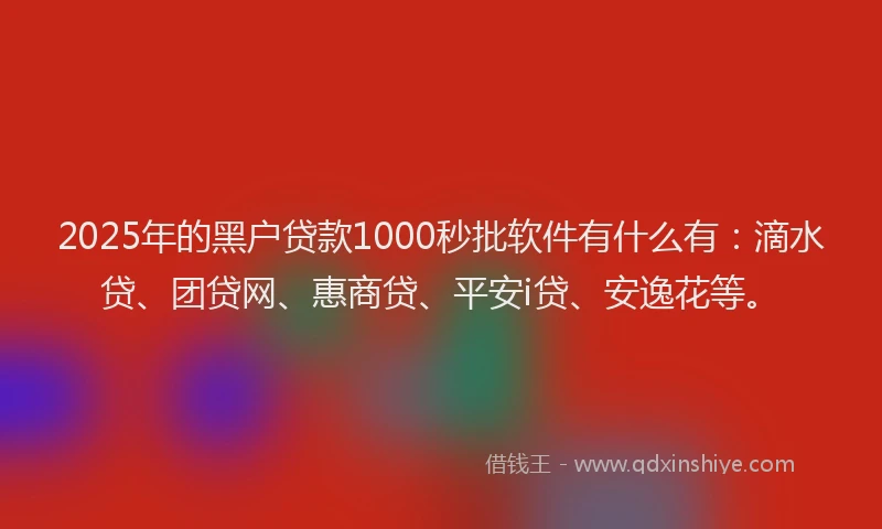 2025年的黑户贷款1000秒批软件有什么有：滴水贷、团贷网、惠商贷、平安i贷、安逸花等。