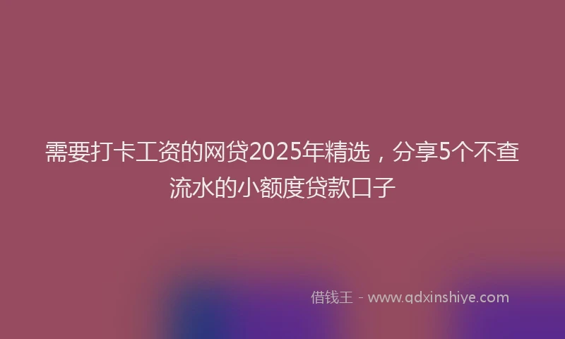 需要打卡工资的网贷2025年精选，分享5个不查流水的小额度贷款口子