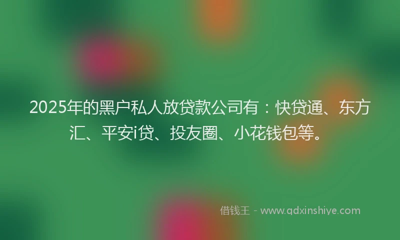 2025年的黑户私人放贷款公司有：快贷通、东方汇、平安i贷、投友圈、小花钱包等。