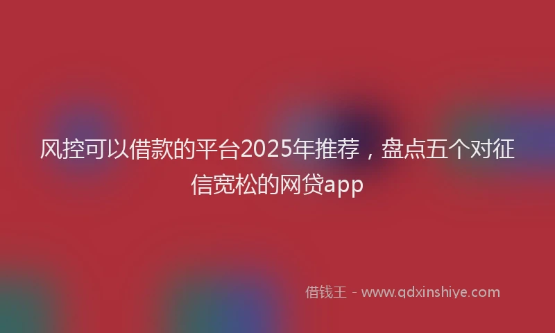 风控可以借款的平台2025年推荐，盘点五个对征信宽松的网贷app