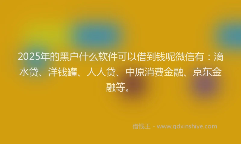 2025年的黑户什么软件可以借到钱呢微信有：滴水贷、洋钱罐、人人贷、中原消费金融、京东金融等。