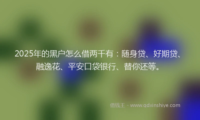 2025年的黑户怎么借两千有：随身贷、好期贷、融逸花、平安口袋银行、替你还等。