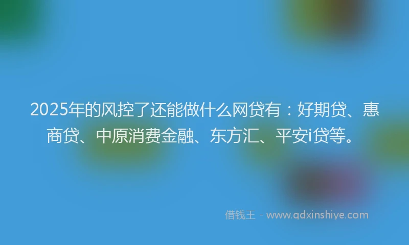 2025年的风控了还能做什么网贷有：好期贷、惠商贷、中原消费金融、东方汇、平安i贷等。