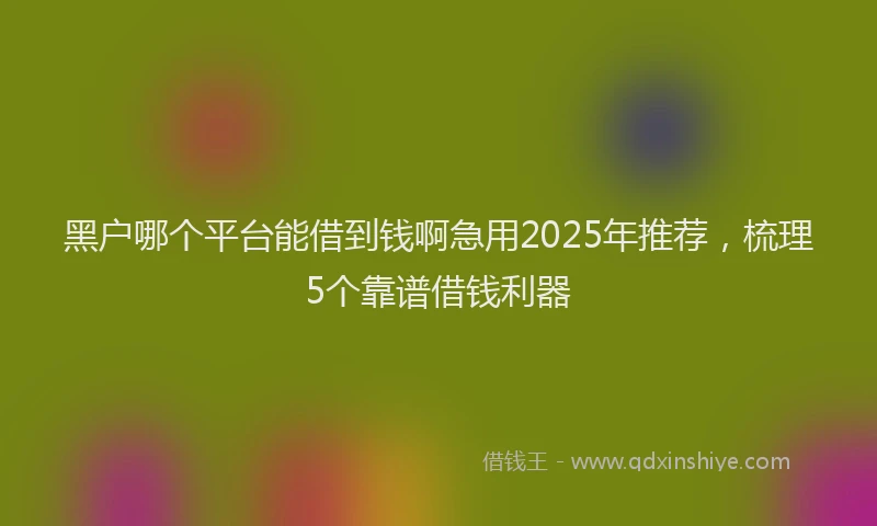 黑户哪个平台能借到钱啊急用2025年推荐，梳理5个靠谱借钱利器