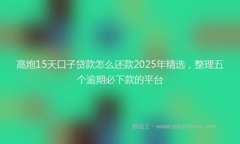高炮15天口子贷款怎么还款2025年精选，整理五个逾期必下款的平台