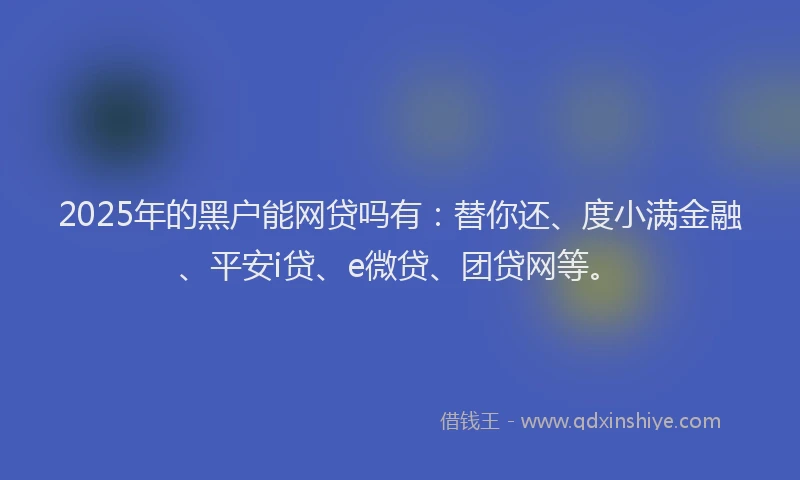 2025年的黑户能网贷吗有：替你还、度小满金融、平安i贷、e微贷、团贷网等。