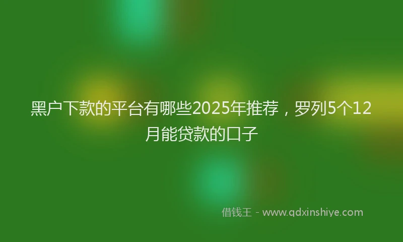 黑户下款的平台有哪些2025年推荐，罗列5个12月能贷款的口子