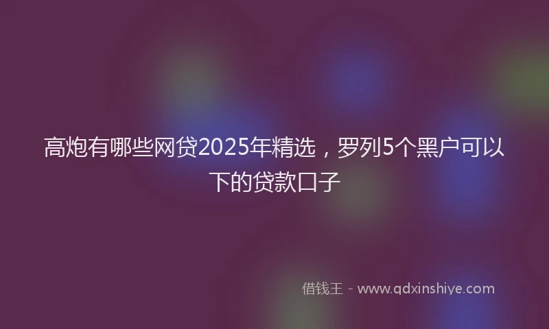 高炮有哪些网贷2025年精选，罗列5个黑户可以下的贷款口子
