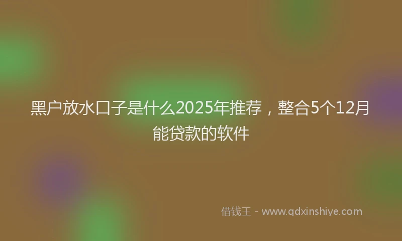 黑户放水口子是什么2025年推荐，整合5个12月能贷款的软件