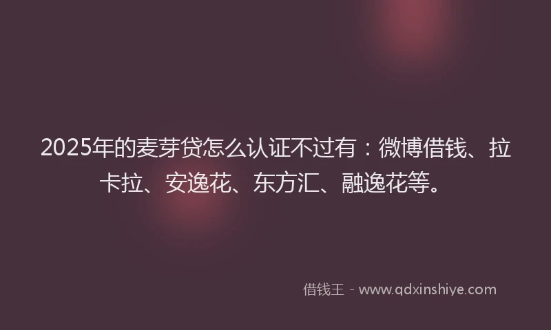 2025年的麦芽贷怎么认证不过有：微博借钱、拉卡拉、安逸花、东方汇、融逸花等。