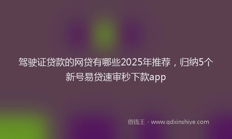 驾驶证贷款的网贷有哪些2025年推荐，归纳5个新号易贷速审秒下款app