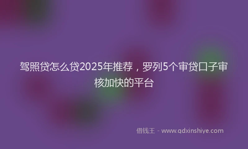 驾照贷怎么贷2025年推荐，罗列5个审贷口子审核加快的平台