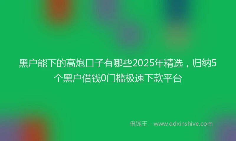 黑户能下的高炮口子有哪些2025年精选，归纳5个黑户借钱0门槛极速下款平台
